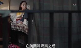 蛇姐最新爆料视频网站,视频网站内幕大曝光！